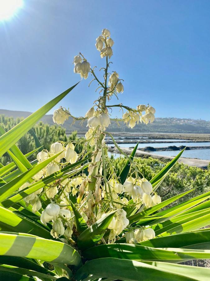 Herdade D' Amoreira Aljezur Esterno foto